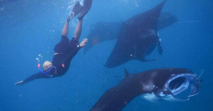 From Bali: Manta Tour in Nusa Lembongan and Nusa Penida - Good To Know