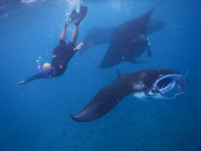 From Bali: Manta Tour in Nusa Lembongan and Nusa Penida - Tour Highlights