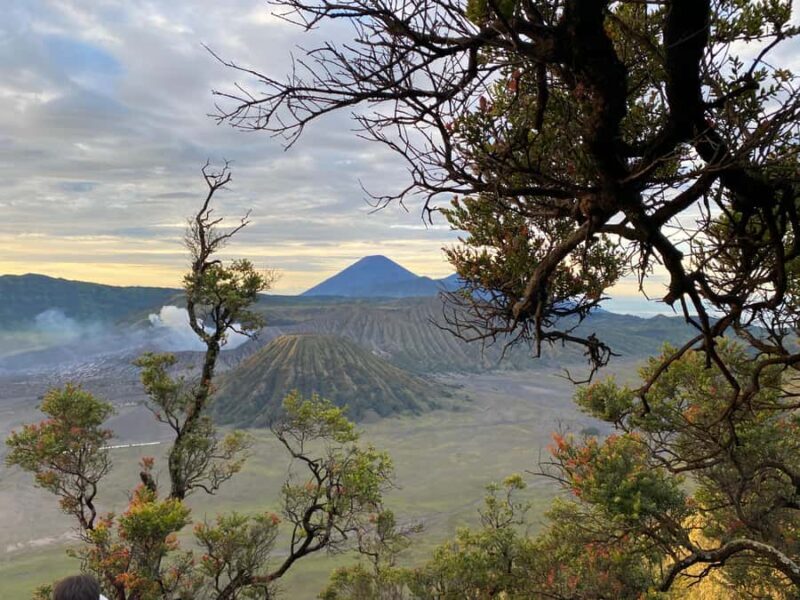 From Bali: Mount Bromo & Ijen volcanic private tour - Good To Know