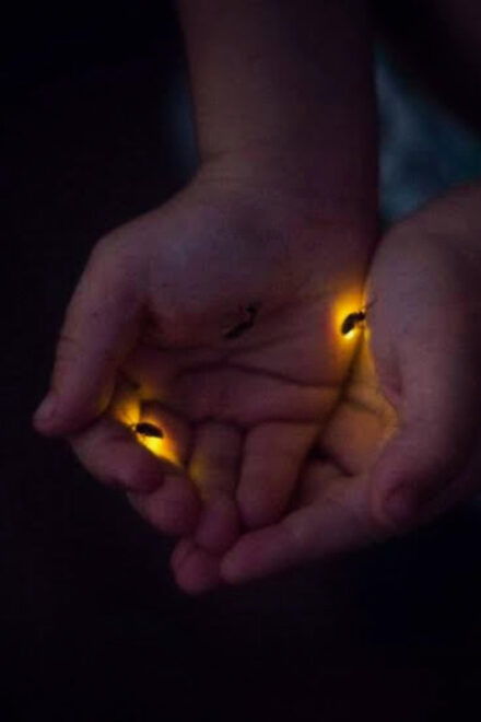 From Bali: Night Fireflies Tour & Balinese Cultures Insights - Preparing for Your Tour