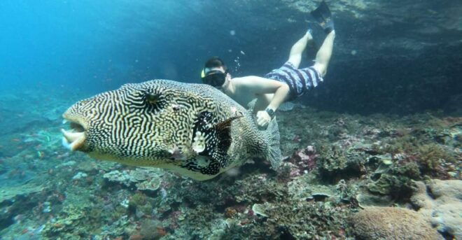 From Bali: Nusa Lembongan Snorkeling Mangrove and Land Tours - Safety and Conservation Efforts