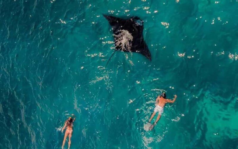 From Bali: Nusa Penida 3 Spots Snorkeling Tour & West Island - Good To Know