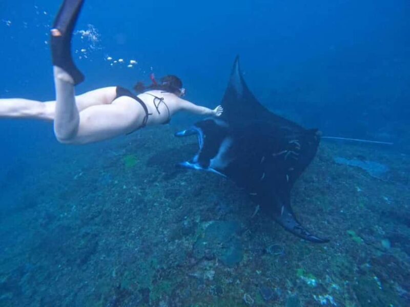 From Bali: Nusa Penida 3 Spots Snorkeling Tour & West Island - Good To Know