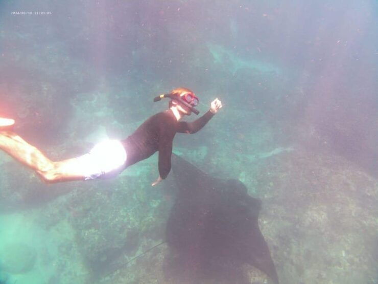 From Bali: Nusa Penida Day Tour With Private Snorkelling - Key Points