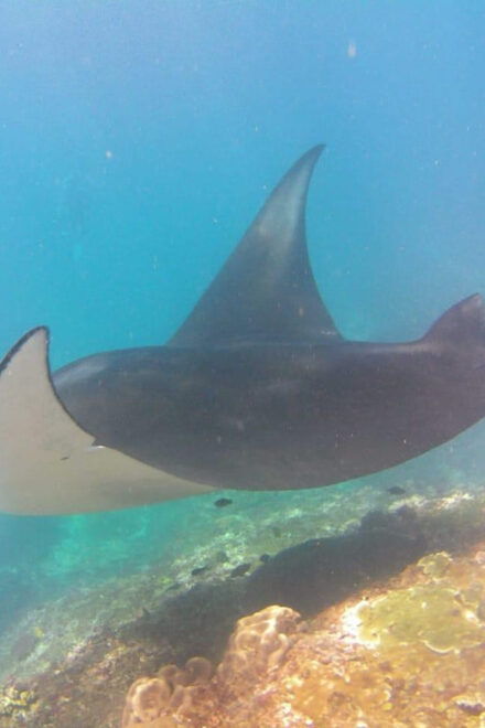 From Bali: Nusa Penida Day Tour With Private Snorkelling - Booking and Cancellation