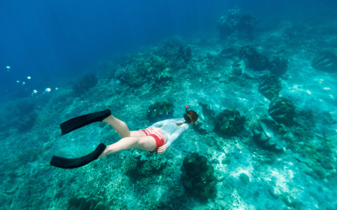 From Bali: Nusa Penida Day Trip and Swimming With Manta Rays - Important Information