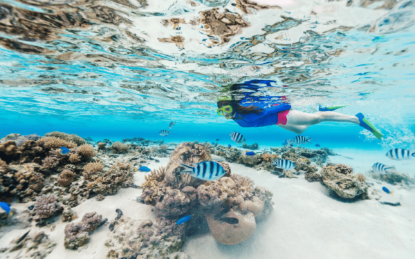 From Bali: Nusa Penida Day Trip and Swimming With Manta Rays - Recommendations for Travelers