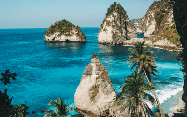 From Bali: Nusa Penida Day Trip and Swimming With Manta Rays - Tips for Swimming With Manta Rays