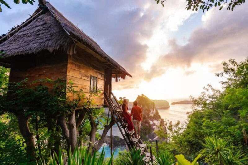 From Bali: Nusa Penida Day Trip - Beaches & Tree House - Authentic Experiences and Insider Tips