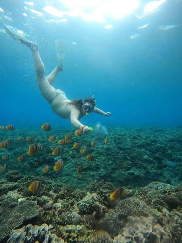 From Bali: Nusa Penida Full Day Private Snorkeling Tour - The Sum Up