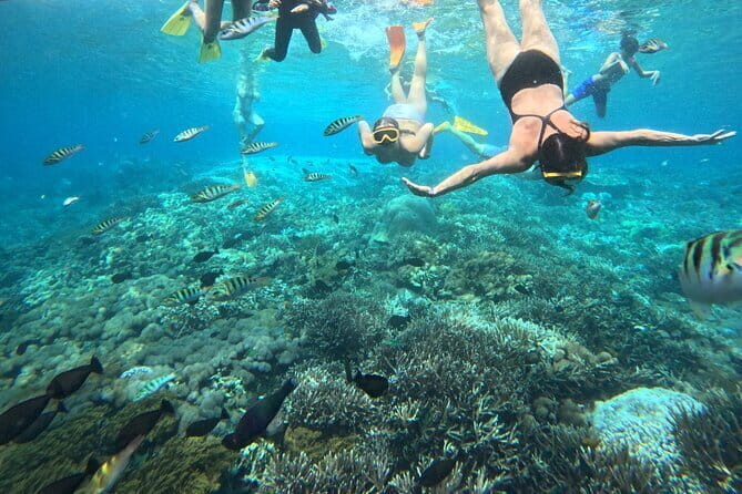 From Bali: Nusa Penida Full Day Tour and Snorkeling - The Sum Up