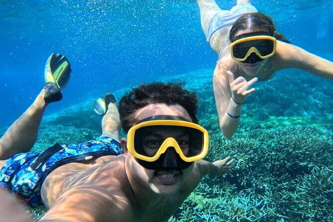 From Bali: Nusa Penida Full Day Tour and Snorkeling - An In-Depth Look at the Itinerary and What to Expect