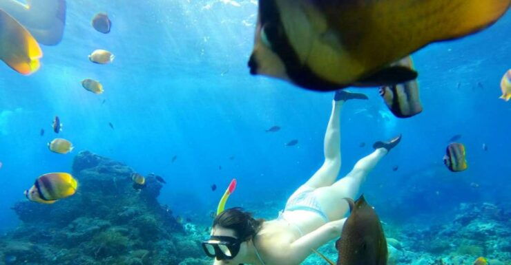 From Bali: Nusa Penida Island Tour Package With Snorkeling - Booking Information