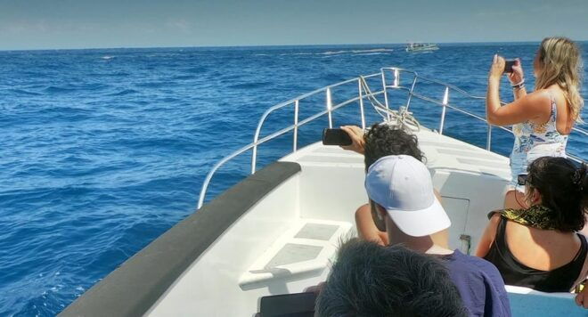 From Bali: Nusa Penida Manta Point Snorkeling and Land Tour - Snorkeling Experience Details