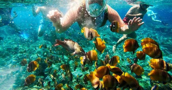 From Bali: Nusa Penida Manta Point Snorkeling and Land Tour - Important Information to Consider