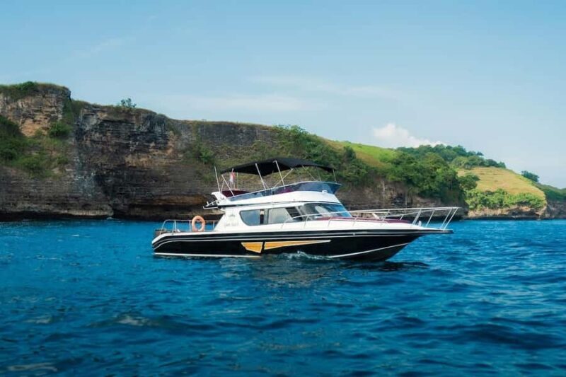 From Bali: Nusa Penida Manta Snorkel by Luxury Private Yacht - Good To Know