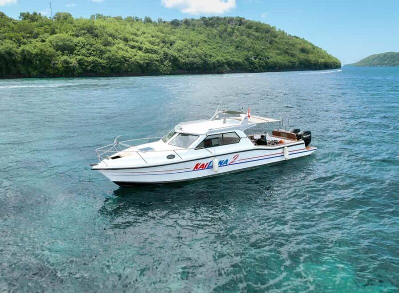 From Bali: Nusa Penida Manta Snorkeling Cruise & Island Tour - Good To Know