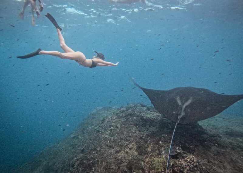 From Bali: Nusa Penida Manta Snorkeling Cruise & Island Tour - The Experience in Detail