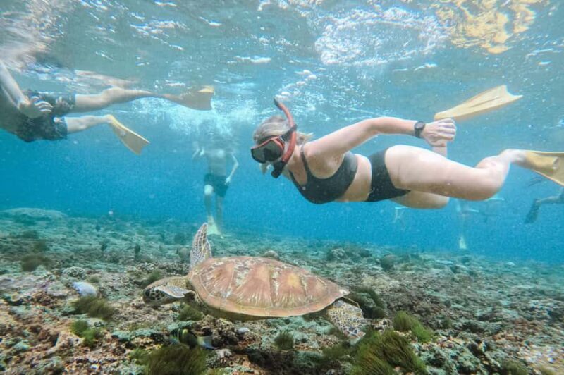 From Bali: Nusa Penida Manta Snorkeling Cruise & Island Tour - Pricing and Overall Value