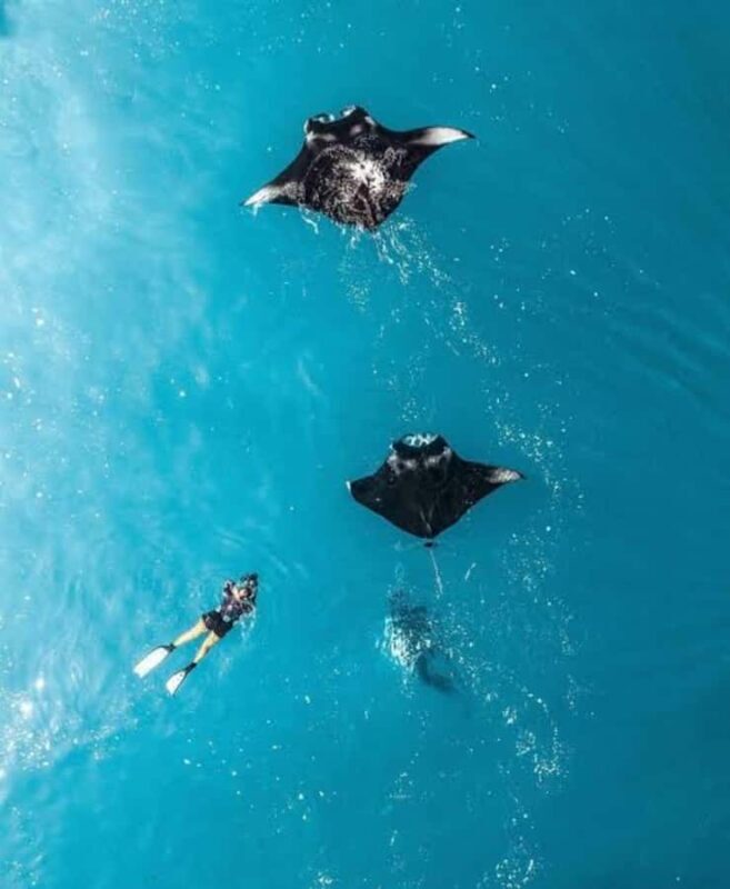 From Bali: Nusa Penida Private Snorkeling and Land Tour - Good To Know