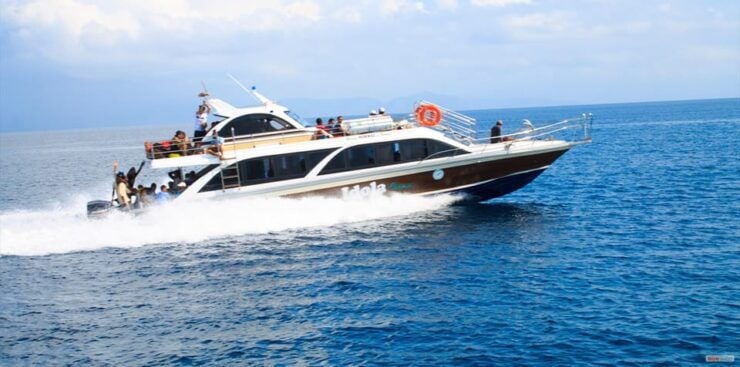 From Bali: Nusa Penida Private Snorkeling and Land Tour - Itinerary Highlights