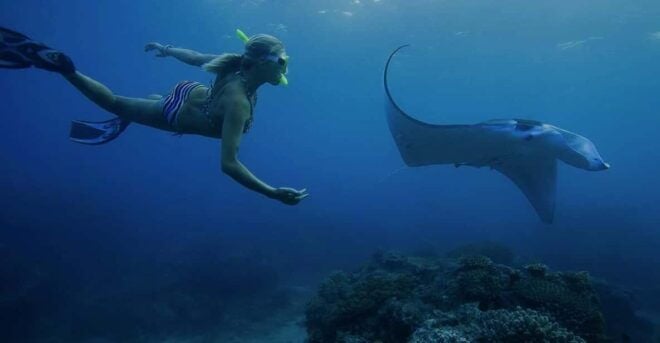 From Bali: Nusa Penida Private Snorkeling and Land Tour - Inclusions and Exclusions