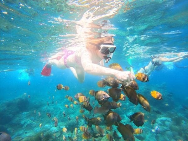 From Bali: Nusa Penida Private Snorkeling and Land Tour - Customer Reviews