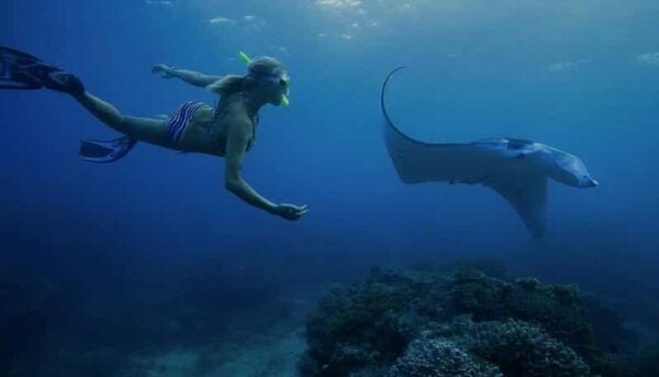 From Bali: Nusa Penida Private Snorkeling and Land Tour - Additional Tips