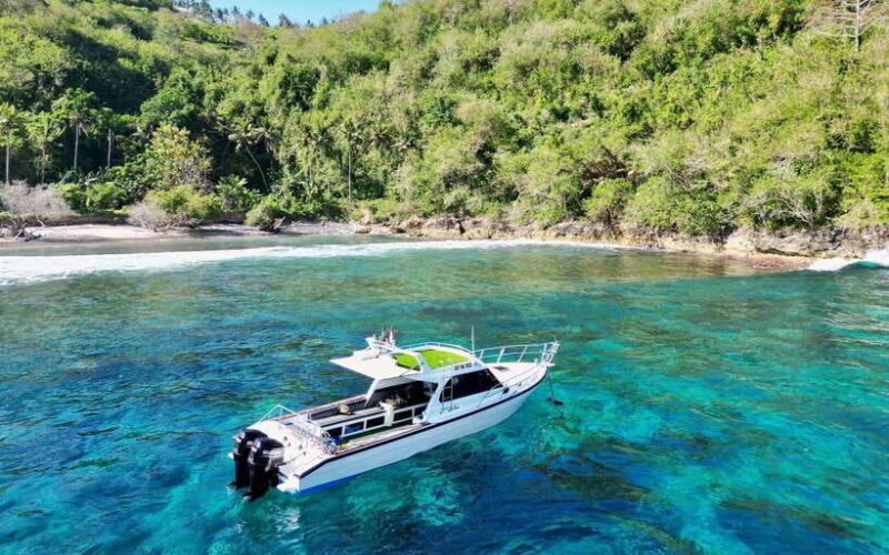 From Bali: Nusa Penida Private Snorkeling Tour with Lunch - Final Thoughts