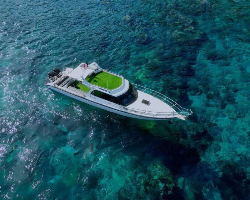 From Bali: Nusa Penida Private Snorkeling Tour with Lunch - Who Should Consider This Tour?