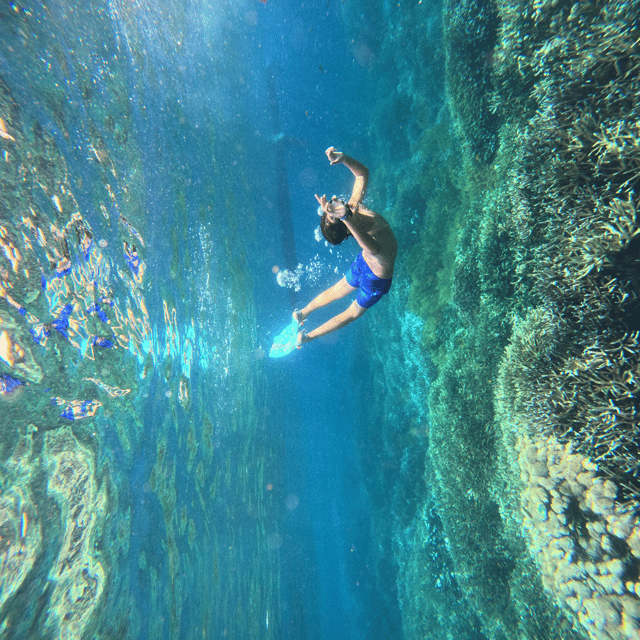 From Bali : Nusa Penida Snorkeling 3 Spots & Hotel Transfer - Inclusions and Amenities