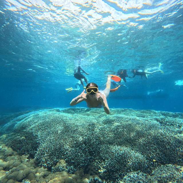 From Bali : Nusa Penida Snorkeling 3 Spots & Hotel Transfer - Participant Requirements