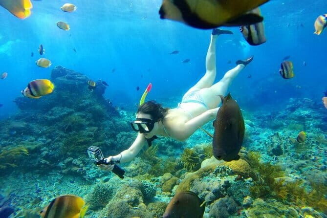 From Bali: Nusa Penida Snorkeling and Island Tour - Good To Know