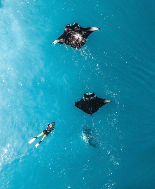 From Bali : Nusa Penida Snorkeling and West Tour Inclusive - Customer Reviews