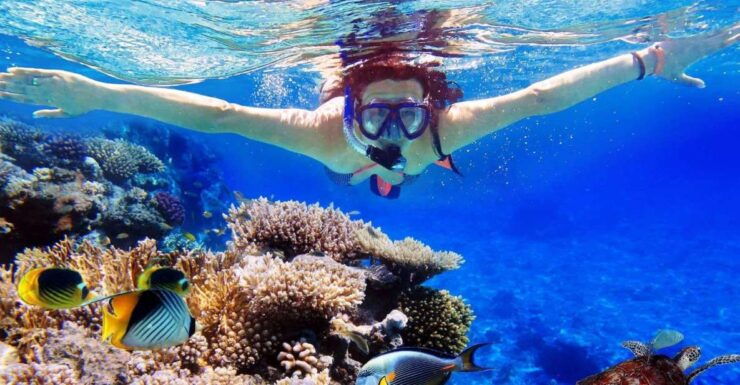 From Bali: Nusa Penida Snorkeling & Island Tour Special Trip - Activity Information