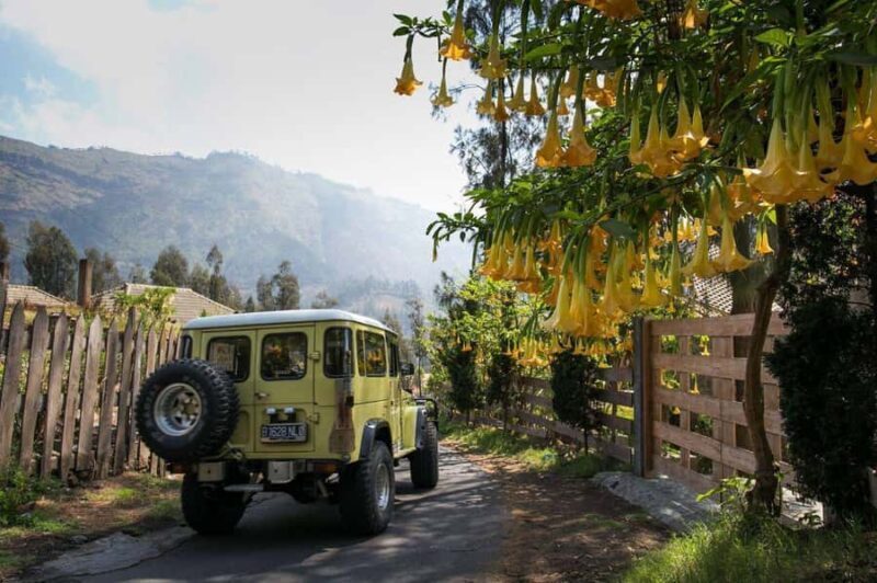 From Bali or Java: Bromo & Kawah Ijen  3-Day Adventure - Exploring the Itinerary: What to Expect Over 3 Days