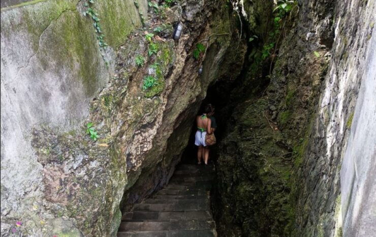 From Bali Port: Cultural and Nature Guided Day Tour - Good To Know