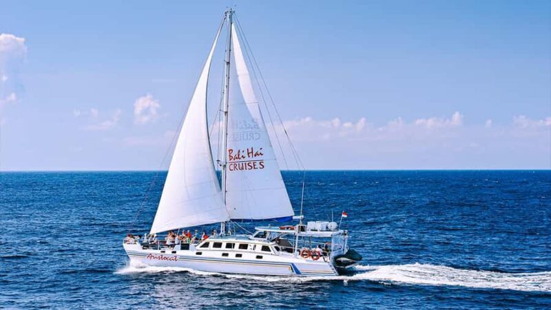 FROM BALI: SAIL, SNORKEL & MANGROVE TOURS TO NUSA LEMBONGAN - The Journey Begins: Embarking on a Luxury Catamaran