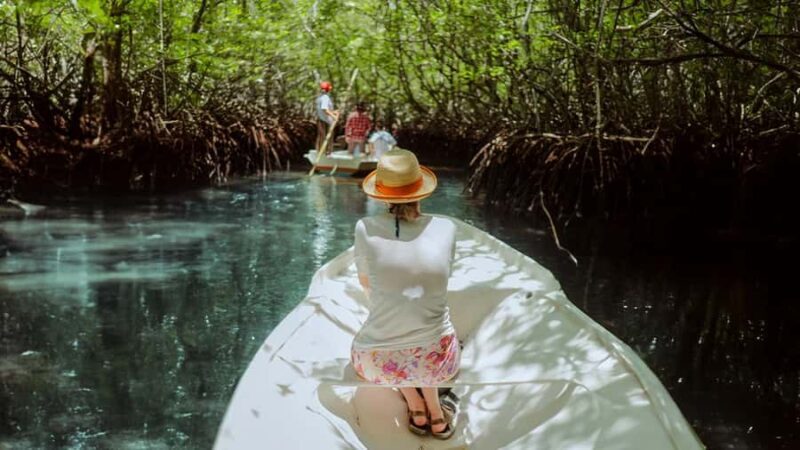 FROM BALI: SAIL, SNORKEL & MANGROVE TOURS TO NUSA LEMBONGAN - Scenic Drive and Cultural Stops on Nusa Lembongan