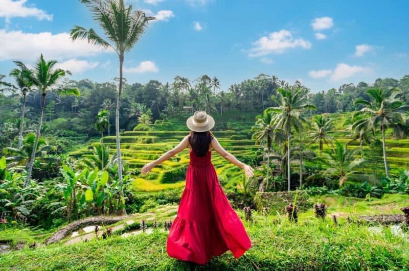 From Bali: Saraswati Temple, Monkey Forest, Ubud Waterfalls - The Itinerary Breakdown: What You’ll Experience