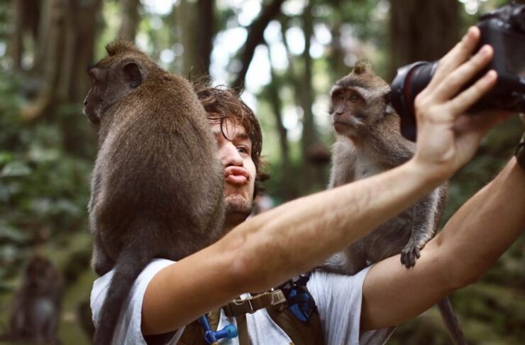 From Bali: Saraswati Temple, Monkey Forest, Ubud Waterfalls - Overview of the Ubud Tour