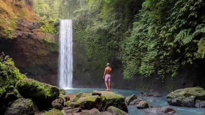 From Bali: Saraswati Temple, Monkey Forest, Ubud Waterfalls - Questions You May Have