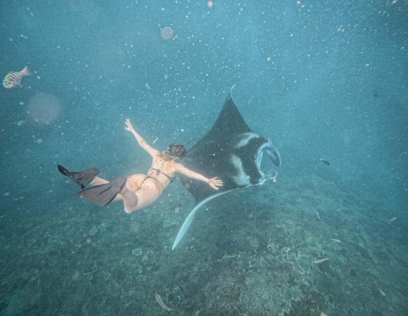 From Bali: Snorkeling 3 Spots with GoPro & West Penida Tour - Introduction