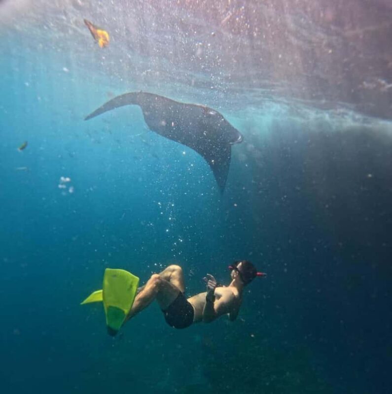 From Bali: Snorkeling 3 Spots with GoPro & West Penida Tour - The Land Tour Highlights