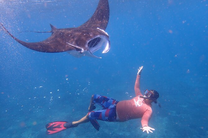 From Bali: Snorkeling With Manta Rays in Nusa Lembongan & Penida - Manta Ray Snorkeling Experience Details