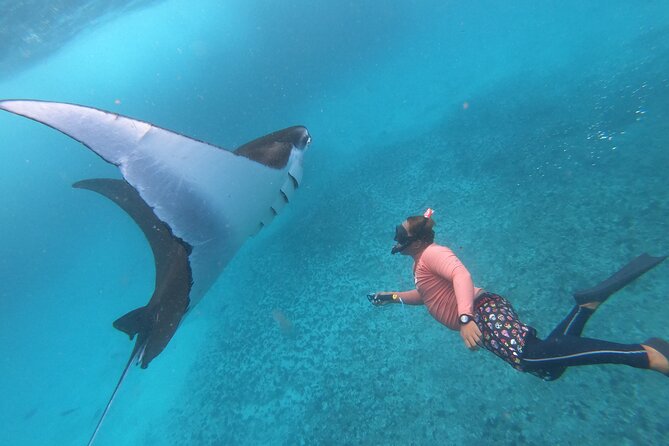 From Bali: Snorkeling With Manta Rays in Nusa Lembongan & Penida - Booking Process Overview