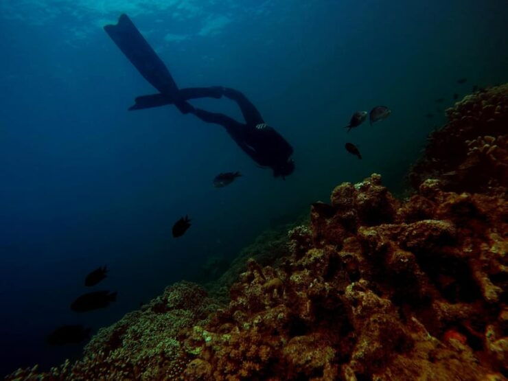 From Bali Snorkling Manta Point Nusa Penida & Land Tours - Good To Know