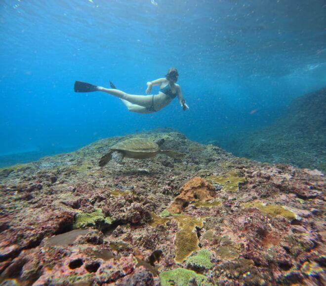 From Bali Snorkling Manta Point Nusa Penida & Land Tours - Important Information