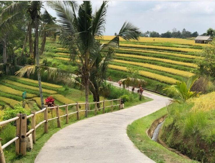 From Bali : Spectacular Waterfall of North Bali - Sightseeing Highlights