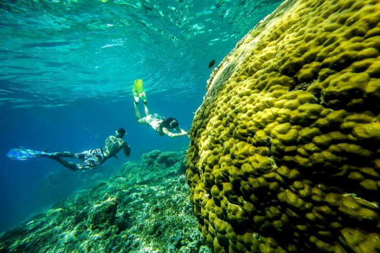 From Bali: Swim With Manta Rays in Nusa Penida - Activity Details